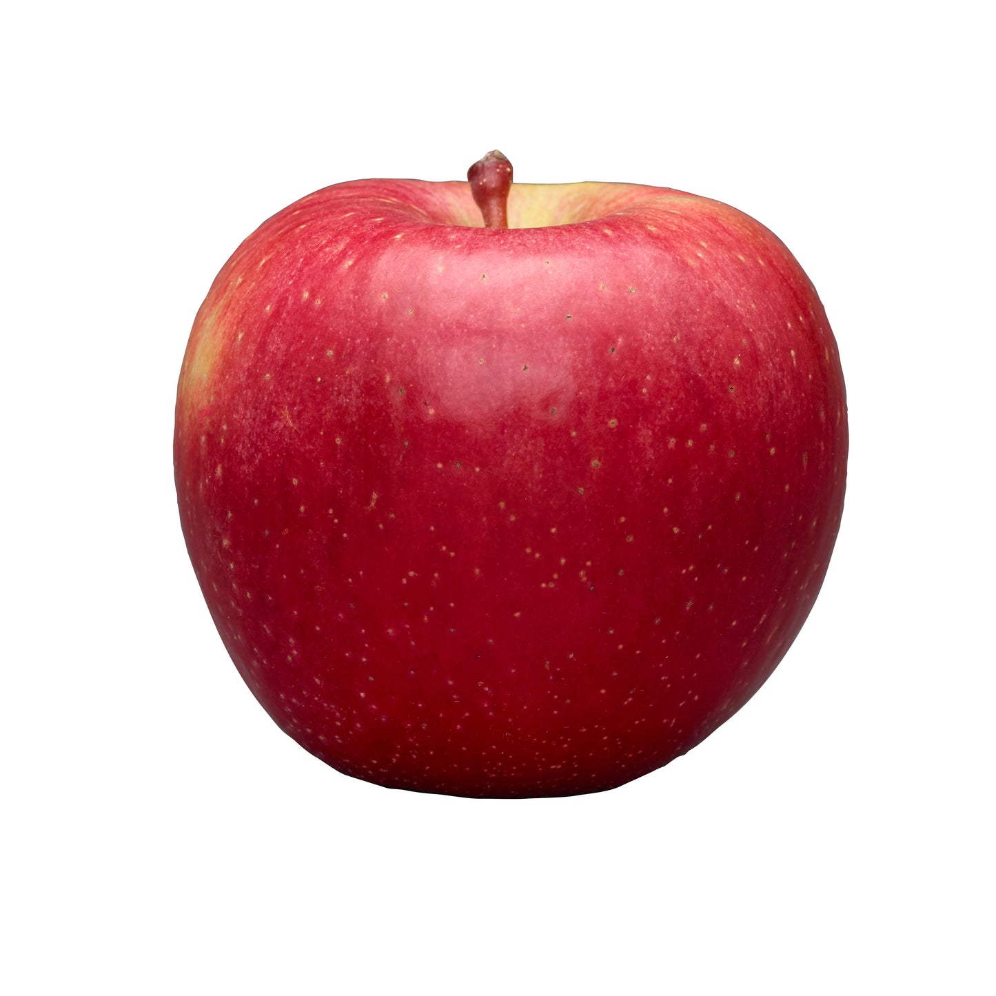 This month's pick: Evercrisp